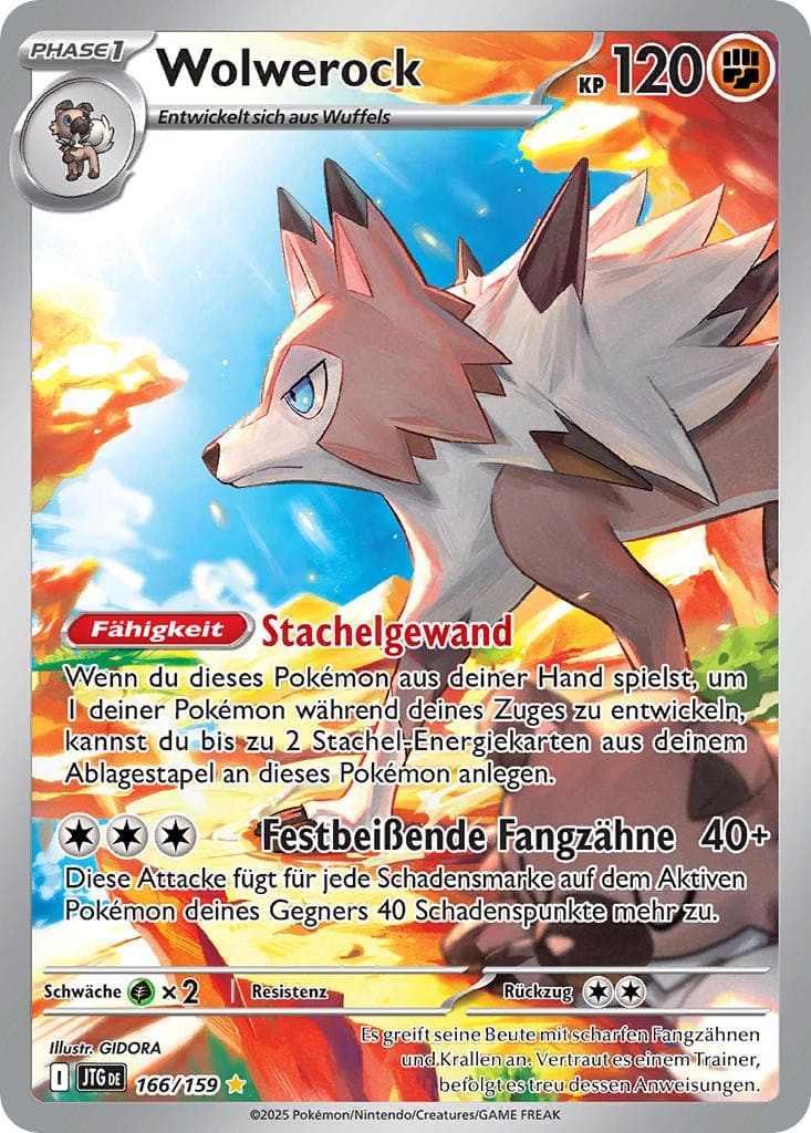 Wolwerock – 166/159